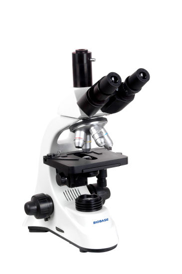 Laboratory Biological Microscope, XS-208BP xs 208bp biobase images