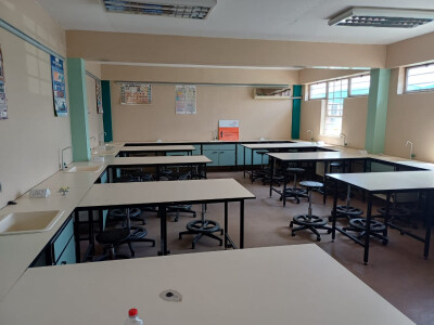 sink basin and faucet