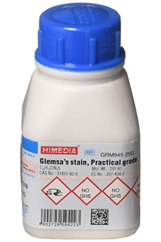 Prepared Giesma Stain