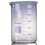 Beakers Glass Low Form 5000ml