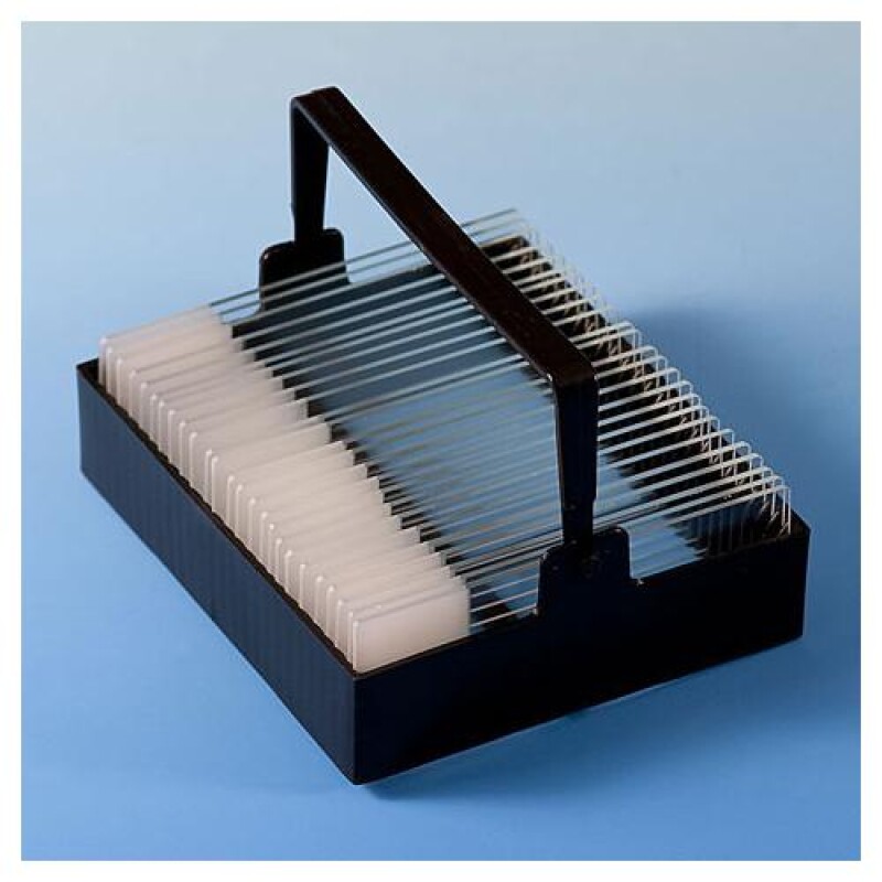 ihwx.a8ec0da9 359a 488b 9194 337c4fd7c24b.500.500