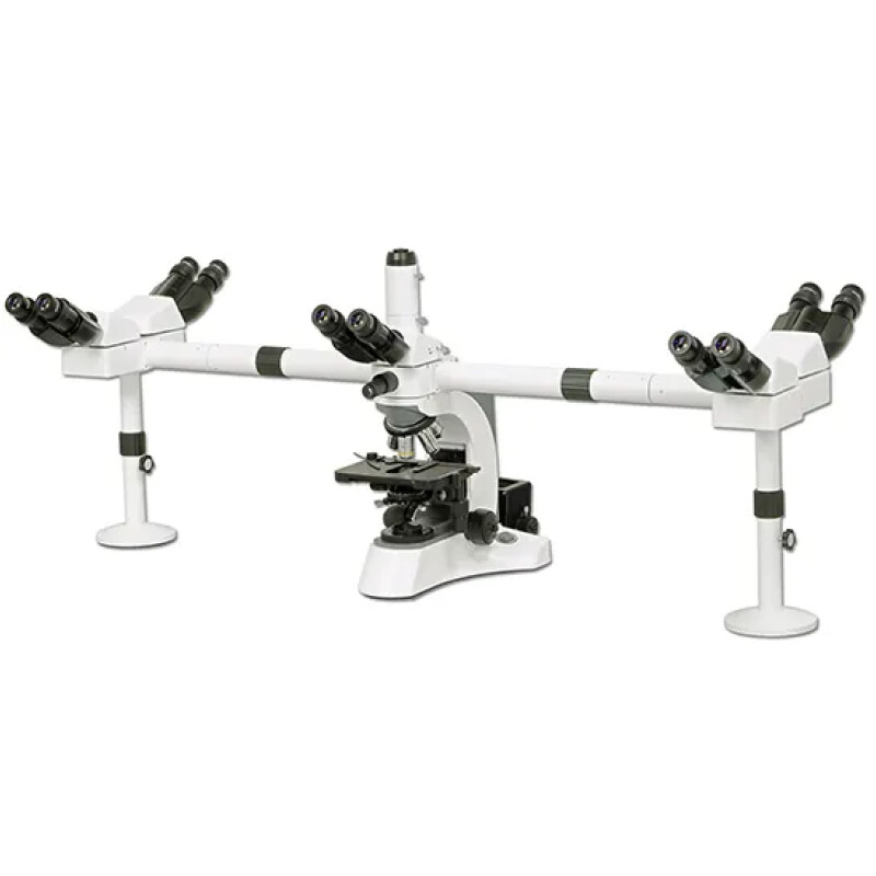 Multi Head Microscope BS 2080MH