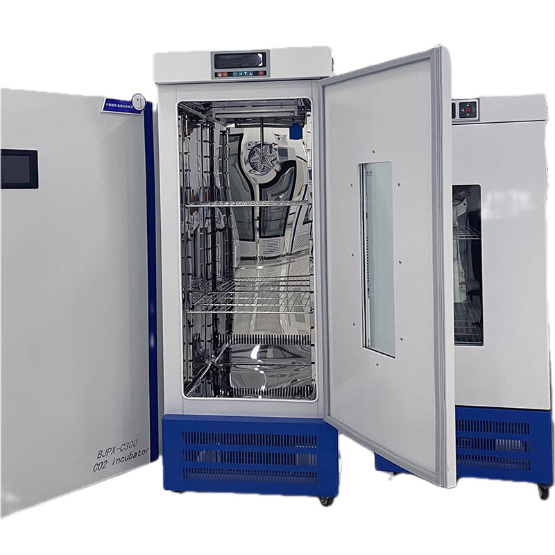 Constant Temperature and Humidity Incubator